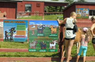 Educational Boards for Farms