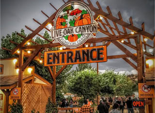 Live Oak Canyon Attraction Signs