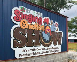 Singing Chicken Show