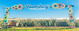 Bloomsbury Farm large Sunflower Arch