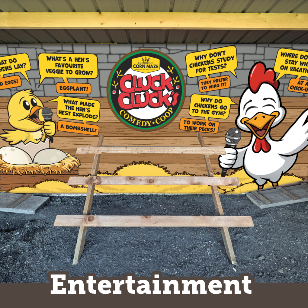 MacArt Entertainament Signs